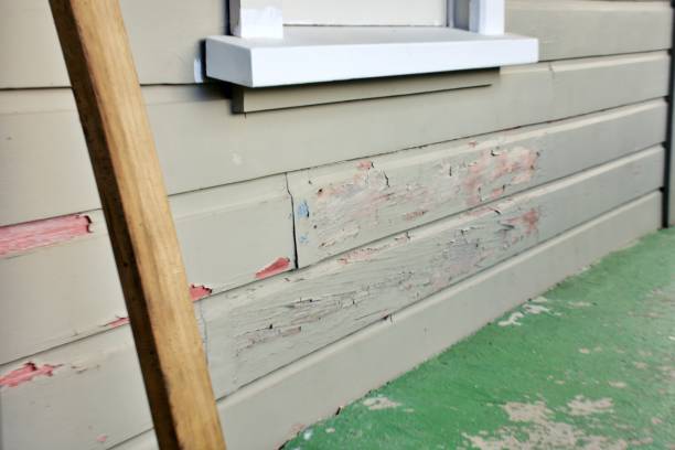 Best Stucco Siding  in Newstle, CA