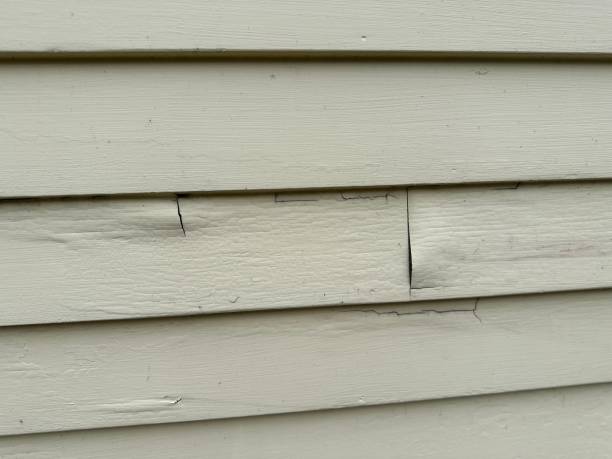 Best Composite Siding  in Newstle, CA